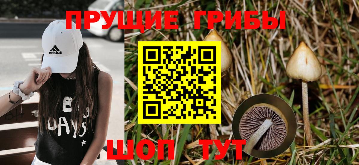 Псилоцибиновые грибы Magic Shrooms  Вход с VPN  Семилуки 
