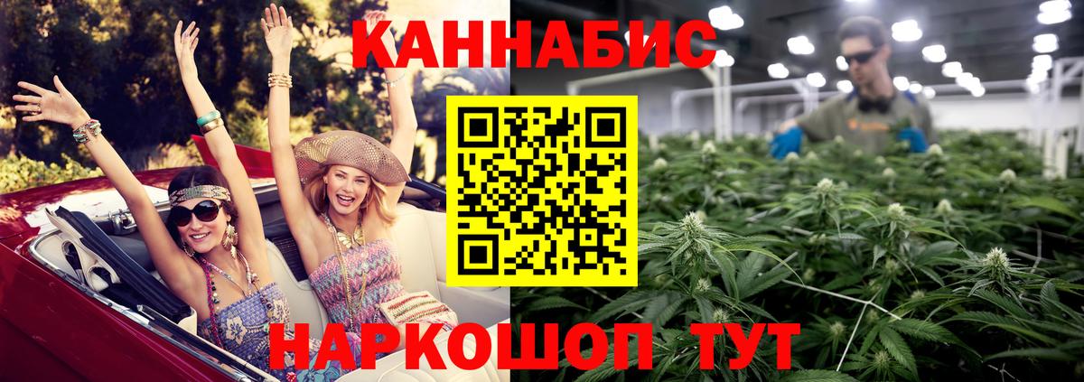 Бошки Шишки план Семилуки